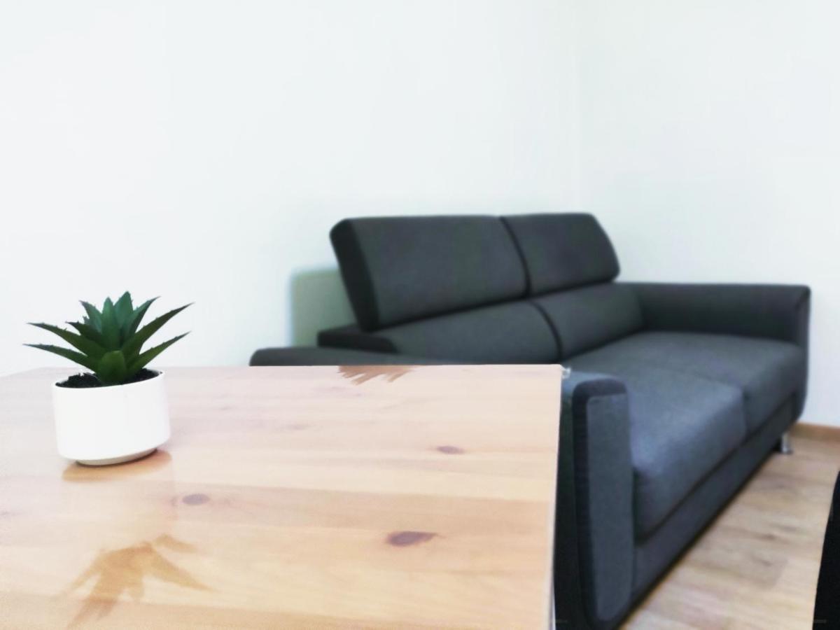 Tres Belle Vue Sur Le Mont Saint-Odile, Parking Gratuit Apartment Obernai Ngoại thất bức ảnh
